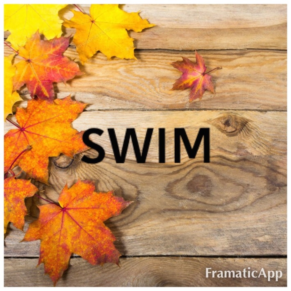Swimming Suit Tops!!! - Picture 9 of 16